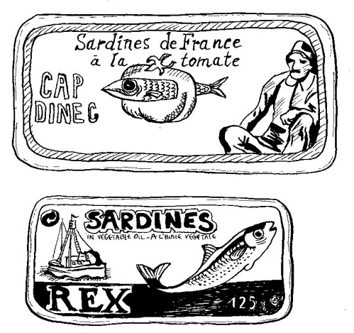 sardine 7